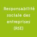 Responsabilité sociale des entreprises (RSE)