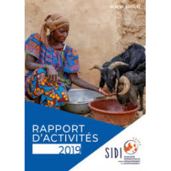 SIDI Rapport d’activités 2019