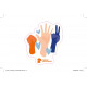 STICKERS MAINS SOLIDARITES